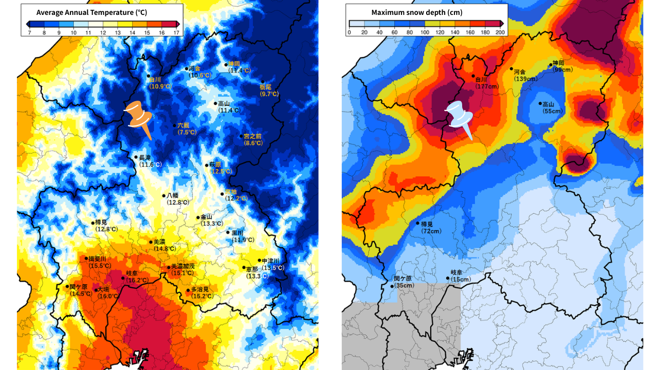 Description of the image